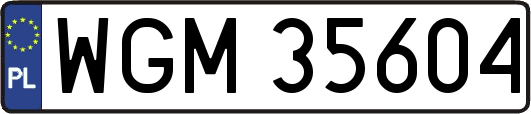 WGM35604