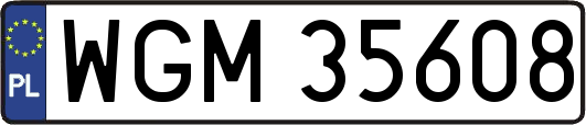 WGM35608