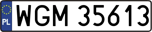 WGM35613