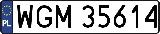 WGM35614