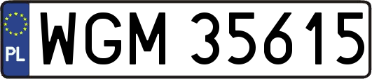WGM35615