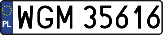 WGM35616