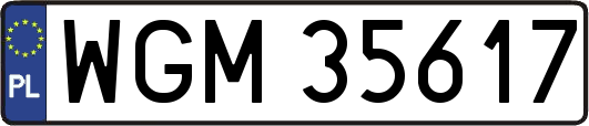WGM35617