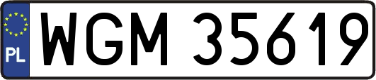 WGM35619