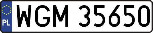 WGM35650