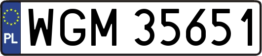 WGM35651