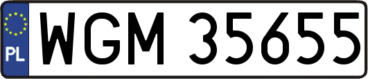 WGM35655