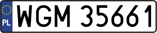 WGM35661
