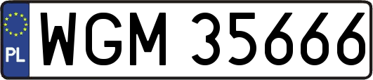 WGM35666