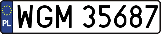 WGM35687