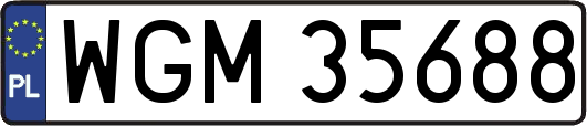 WGM35688