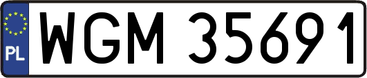 WGM35691