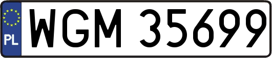 WGM35699