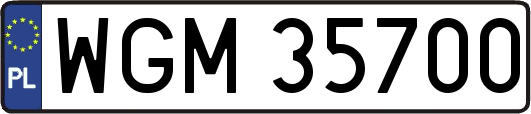 WGM35700