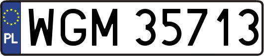 WGM35713