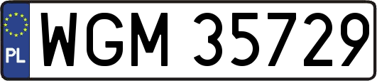 WGM35729