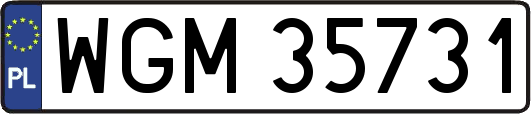 WGM35731