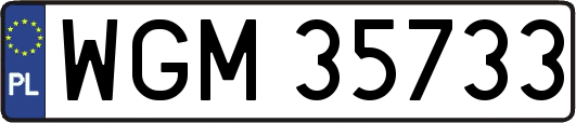 WGM35733