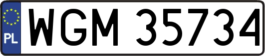 WGM35734