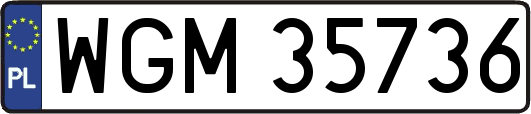WGM35736
