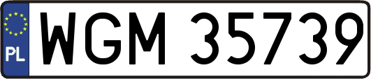 WGM35739