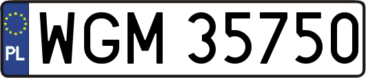 WGM35750