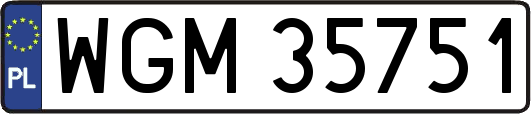 WGM35751