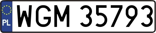 WGM35793