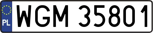WGM35801