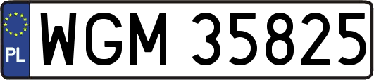 WGM35825