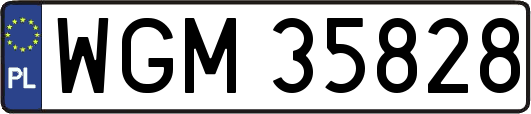WGM35828