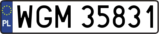 WGM35831