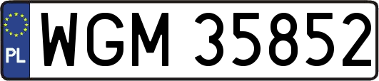 WGM35852