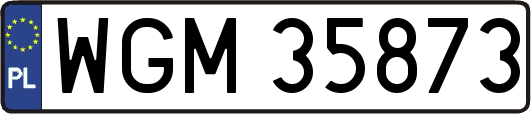 WGM35873