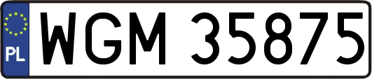 WGM35875