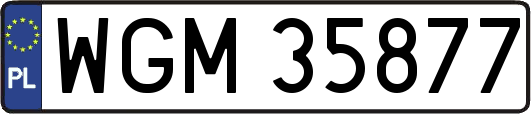 WGM35877