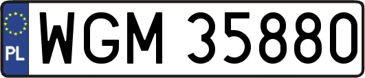 WGM35880