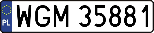 WGM35881