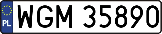 WGM35890