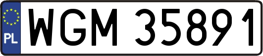 WGM35891
