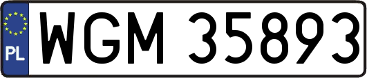 WGM35893