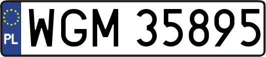WGM35895