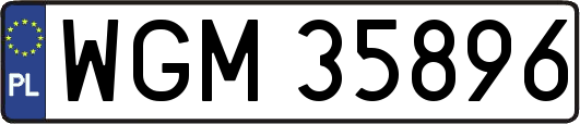 WGM35896