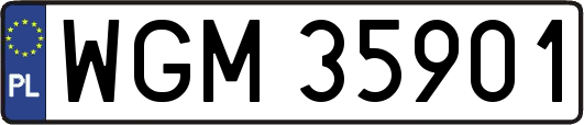 WGM35901