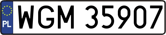 WGM35907