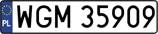 WGM35909