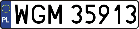WGM35913