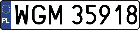 WGM35918
