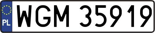 WGM35919
