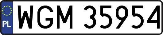 WGM35954